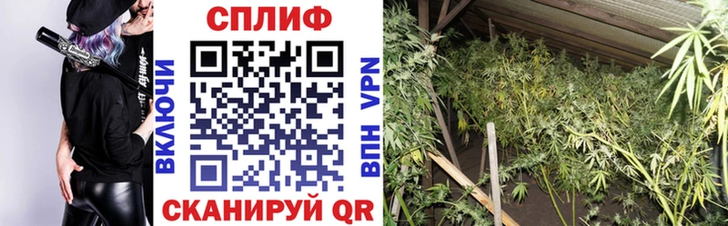 Купить  Медынь  Бошки Шишки OG Kush 